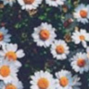 Meet your Posher, Ayonna